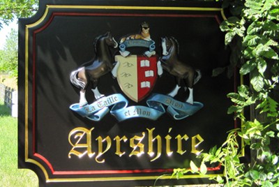 Ayrshire2